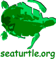 seaturtle.org