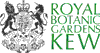 KEW