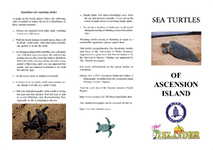 leaflet