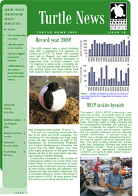 Turtle News 18