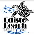 Edisto Town Beach