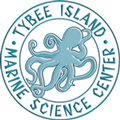 Tybee Island