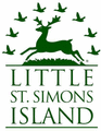 Little St. Simons